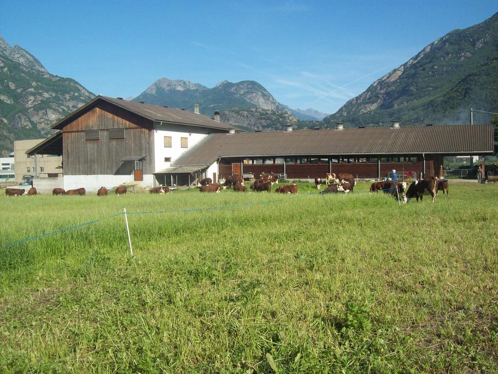 Agriturismo La Grange Pont-Saint-Martin Zewnętrze zdjęcie