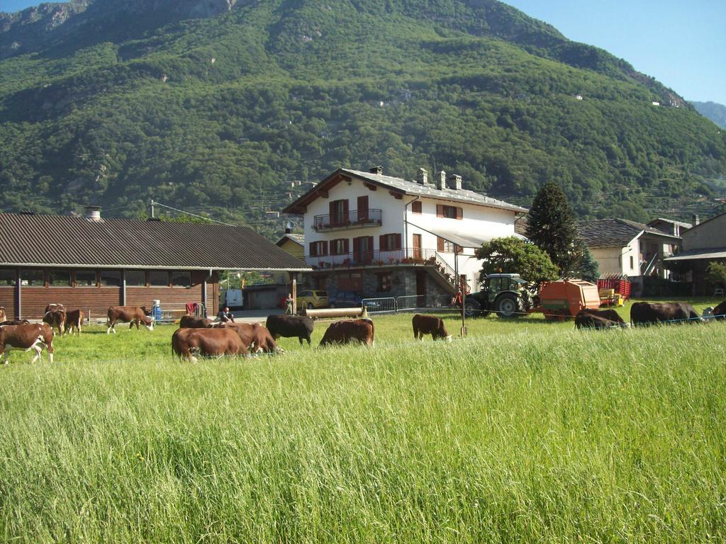 Agriturismo La Grange Pont-Saint-Martin Zewnętrze zdjęcie