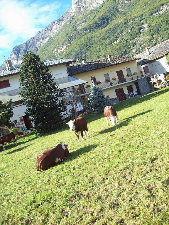 Agriturismo La Grange Pont-Saint-Martin Zewnętrze zdjęcie