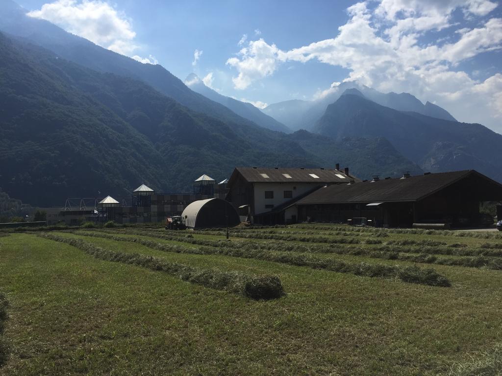 Agriturismo La Grange Pont-Saint-Martin Zewnętrze zdjęcie