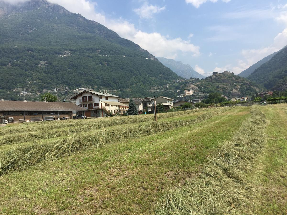Agriturismo La Grange Pont-Saint-Martin Zewnętrze zdjęcie